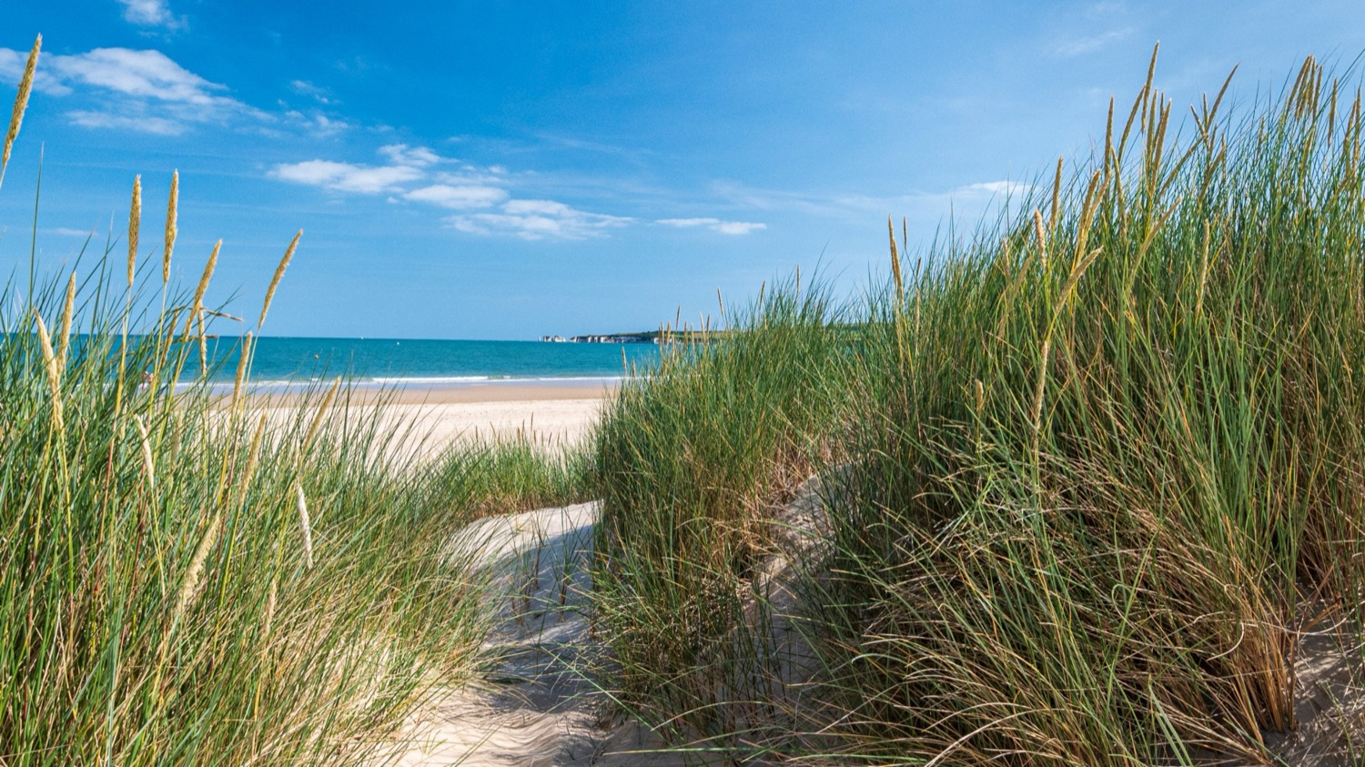 Dorset Coast location — In Color
